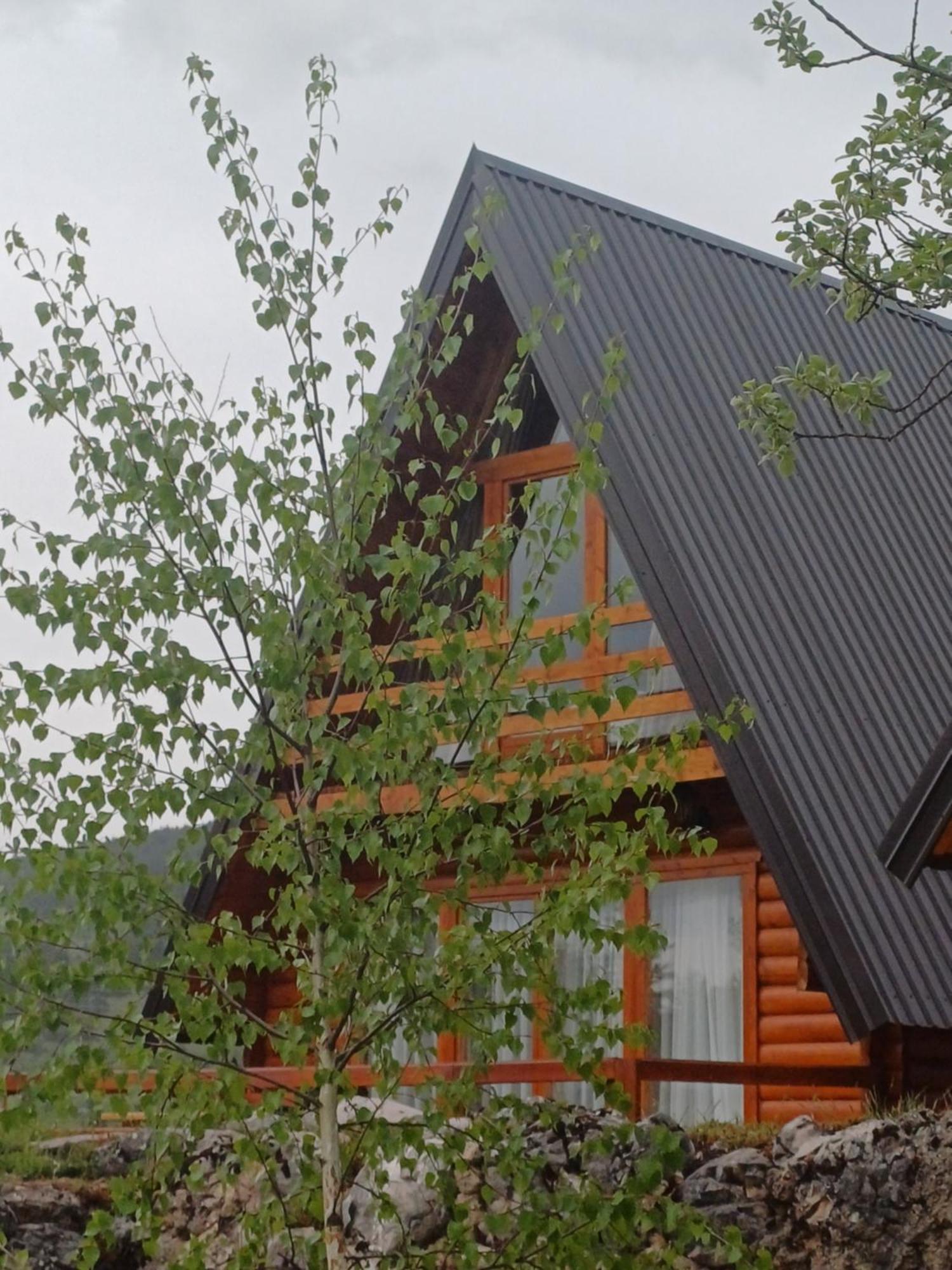 Villa Wood Borje Žabljak Kültér fotó